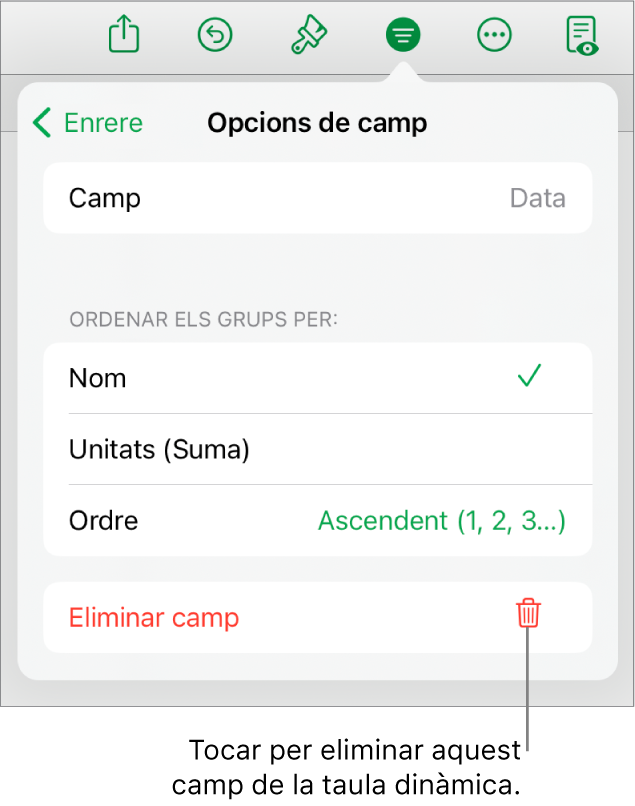 El menú “Opcions de camp”, que mostra els controls per agrupar i ordenar dades, a més de l’opció per eliminar un camp.