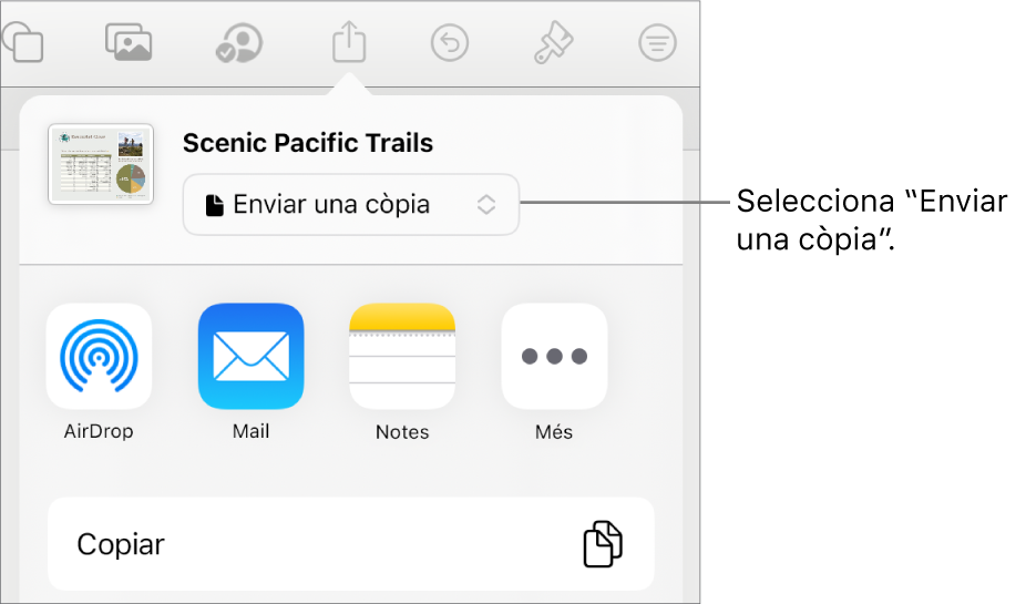 Menú “Compartir” amb l’opció “Enviar una còpia” seleccionada a la part superior.