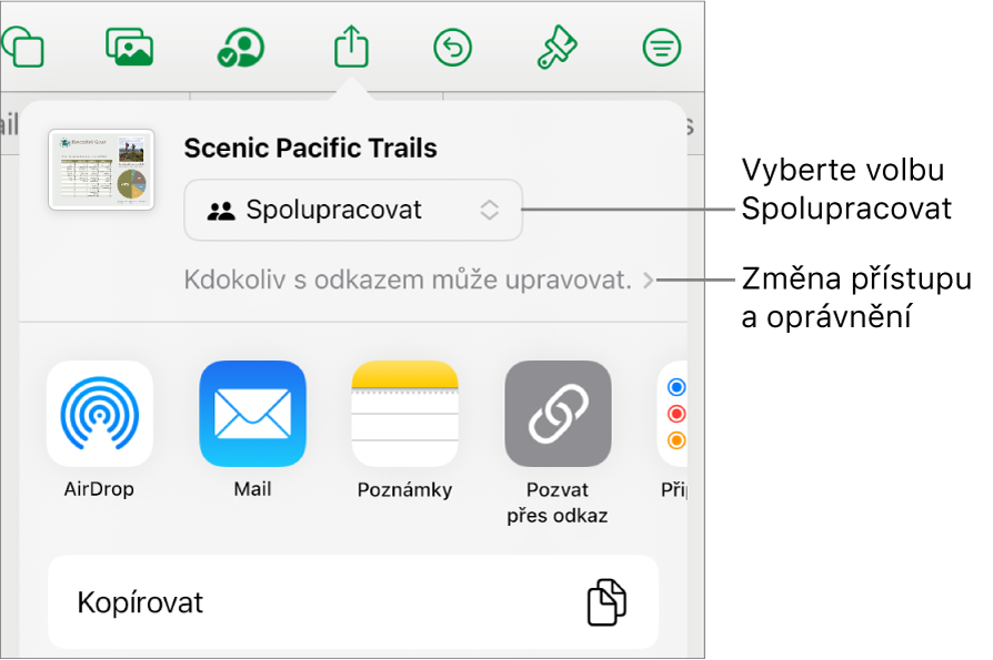 Nabídka sdílení, v níž je nahoře vidět vybraná volba Spolupracovat a pod ní volby pro nastavení přístupu a oprávnění