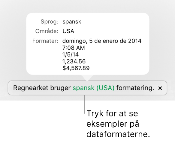 Notifikationen om de forskellige indstillinger af sprog og område, der viser eksempler på den formatering, som hører til sproget og området.