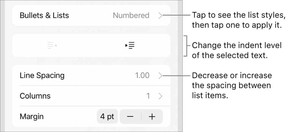 The Bullets & Lists section of the Format controls with callouts to Bullets & Lists, outdent and indent buttons, and line spacing controls.