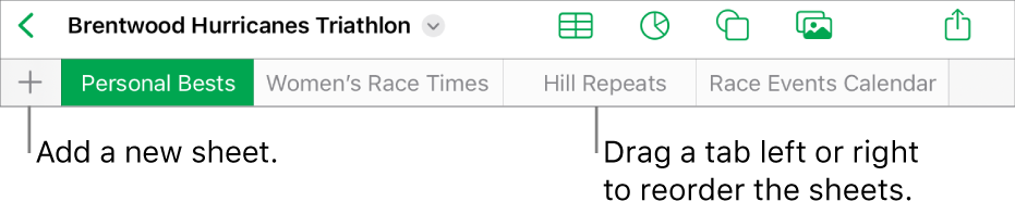 The tab bar for adding a new sheet, navigating, reordering and reorganising sheets.
