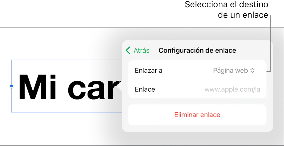 Los controles de Configuración de enlace con la opción Página Web seleccionada, y el botón Eliminar enlace en la parte de abajo.