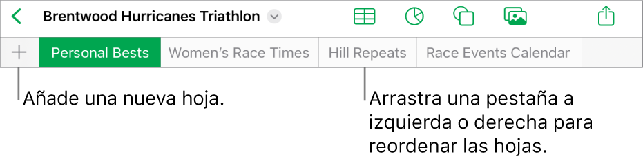 La barra de pestañas para añadir una nueva hoja, navegar, reordenar y reorganizar las hojas.