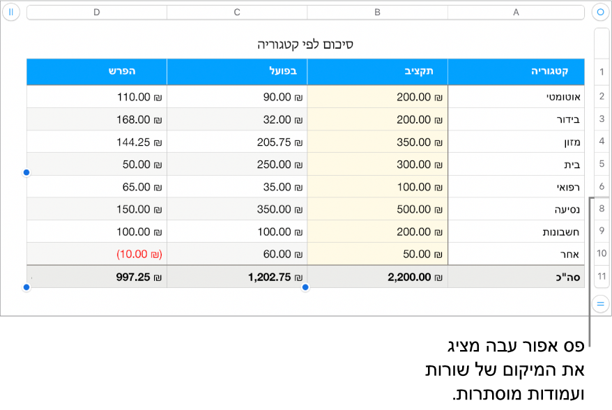 פס אפור עבה שמציג את מיקומן של שורות ועמודות נסתרות