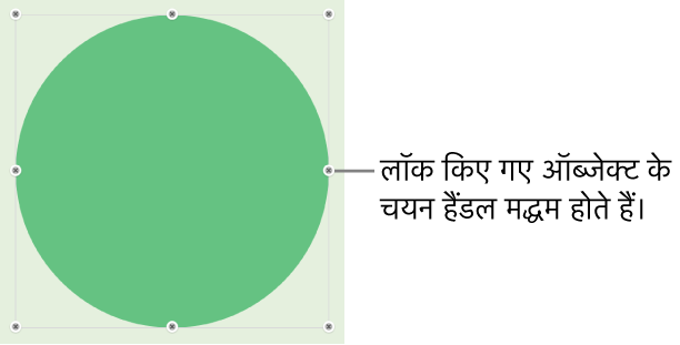 अस्पष्ट चयन हैंडल वाला लॉक किया गया ऑब्जेक्ट।