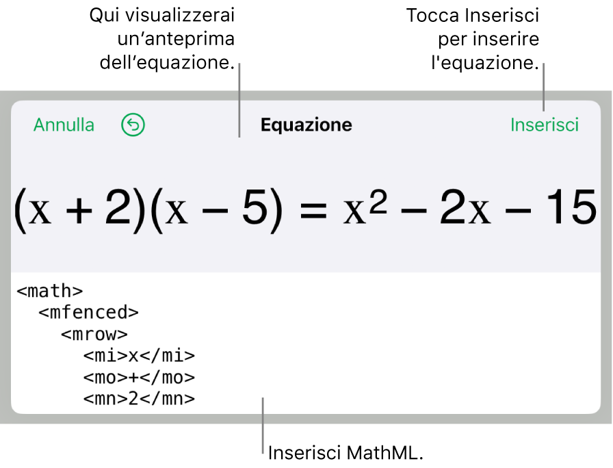 La finestra di dialogo Equazione che mostra l'equazione scritta tramite comandi MathML e un'anteprima della formula di cui sopra.
