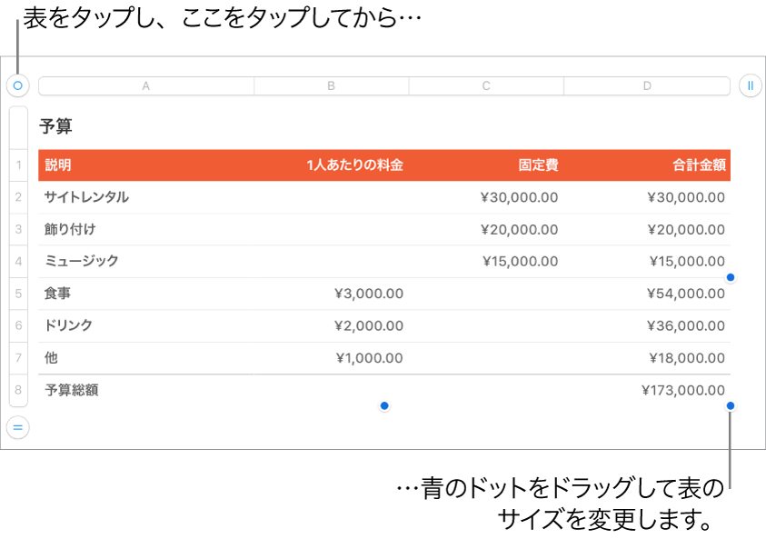 選択された表。サイズを変更するための青いドットが表示された状態。