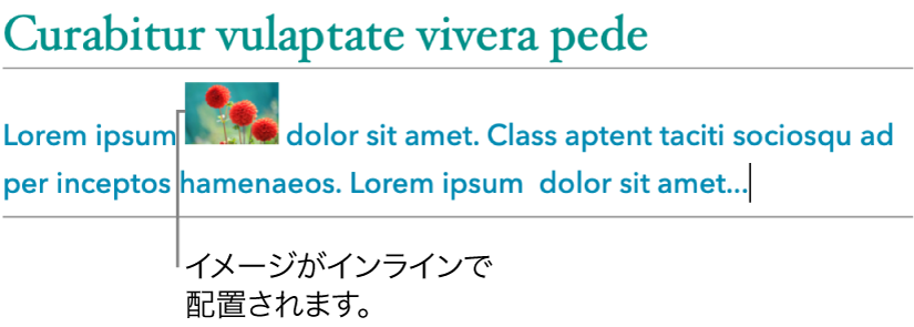 イメージ。テキストと共にインラインで配置された状態。