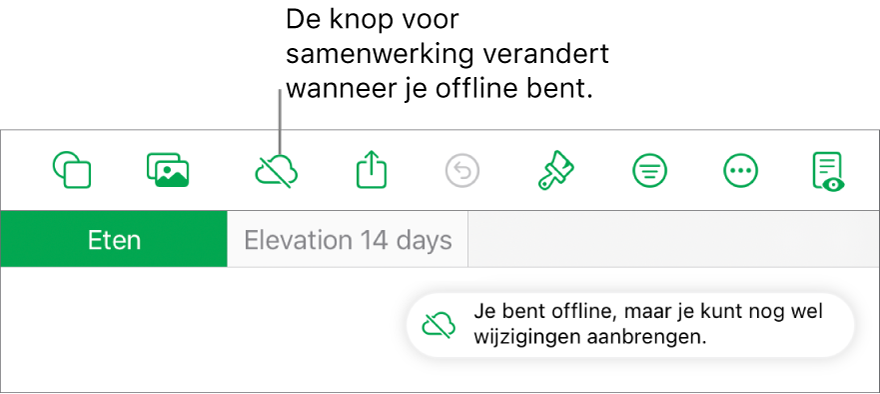 De knoppen boven in het scherm, met de knop voor samenwerking die is veranderd in een wolk met een schuine streep. De volgende melding verschijnt op het scherm: 'Je bent offline, maar je kunt nog wel wijzigingen aanbrengen.'