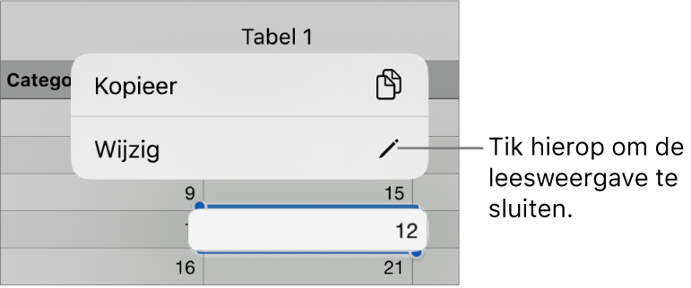 Er is een tabelcel geselecteerd en erboven staat een menu met de knoppen 'Kopieer' en 'Wijzig'.