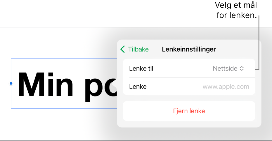 Lenkeinnstillinger-kontrollene med Nettside markert, og Fjern lenke-knappen nederst.