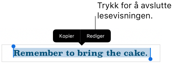 En setning er markert, og over den vises en kontekstmeny med knappene Kopier og Rediger.