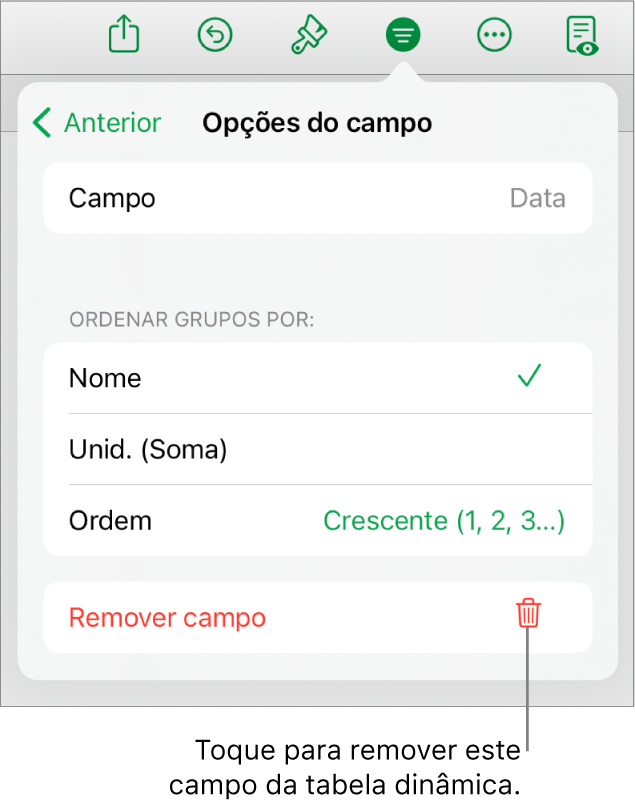 O menu Opções do campo, a mostrar os controlos que permitem agrupar e ordenar dados, assim como a opção para remover um campo.