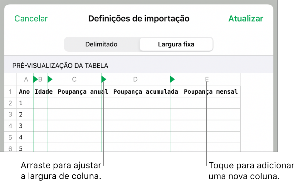 As definições de importação para um ficheiro de texto de largura fixa.