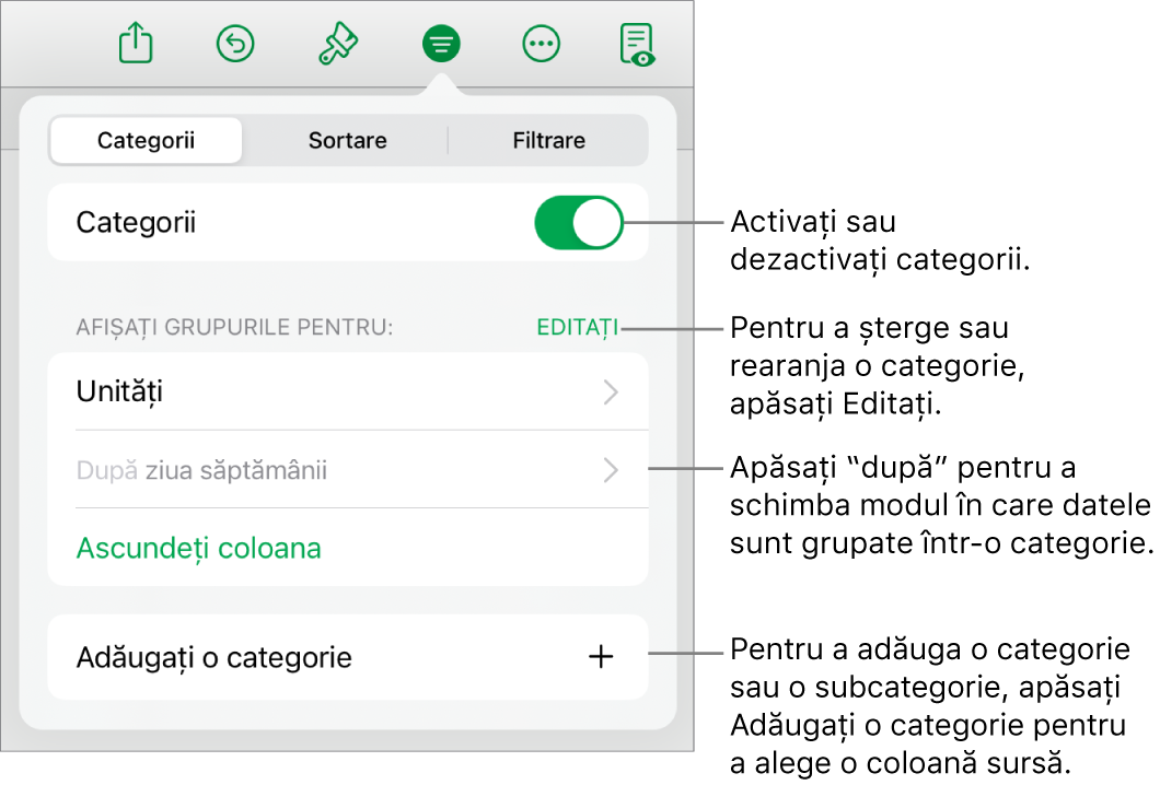 Meniu Categorii pentru iPad cu opțiuni pentru a dezactiva categoriile, șterge categoriile, regrupa datele, ascunde o coloană sursă și a adăuga categorii.