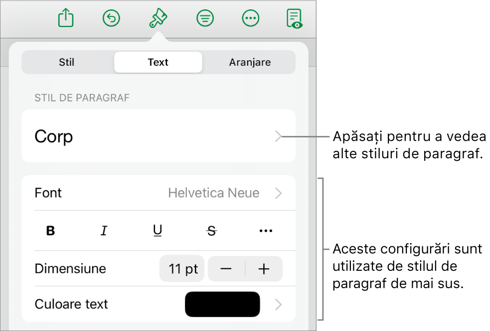 Meniul Format afișând comenzi de text pentru configurarea stilurilor, fonturilor, dimensiunii și culorii paragrafelor și caracterelor.