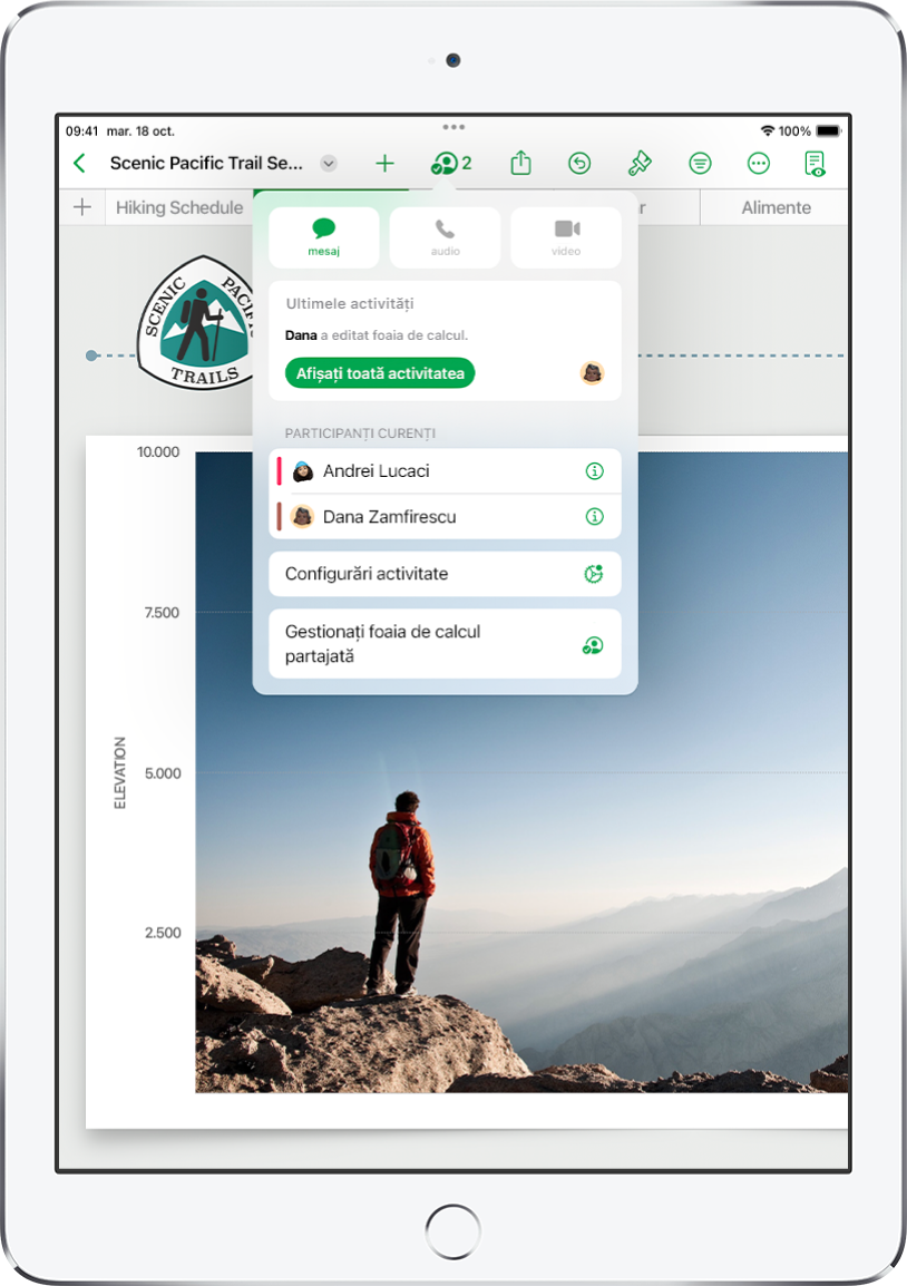 Meniul de colaborare afișând numele persoanelor care colaborează la foaia de calcul.