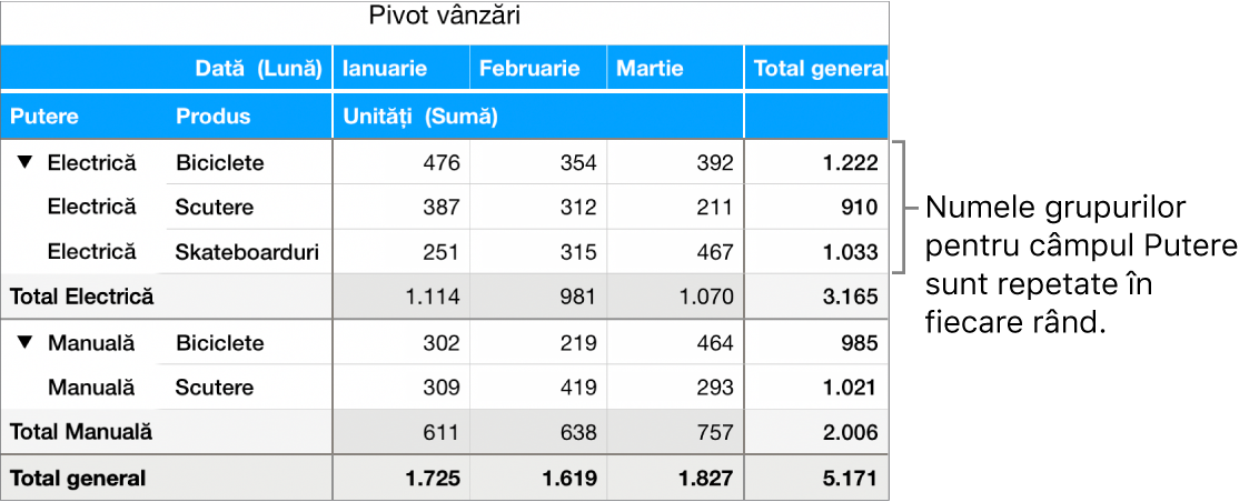 O diagramă pivot afișând Electric și Manual, numele de grup pentru câmpul Putere, repetate în fiecare rând.