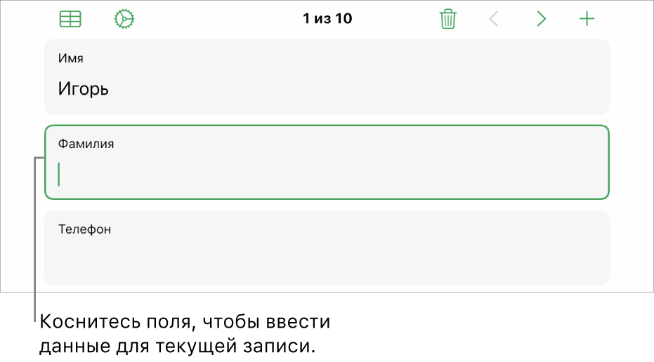 Показана запись в форме. В активном поле находится точка вставки.