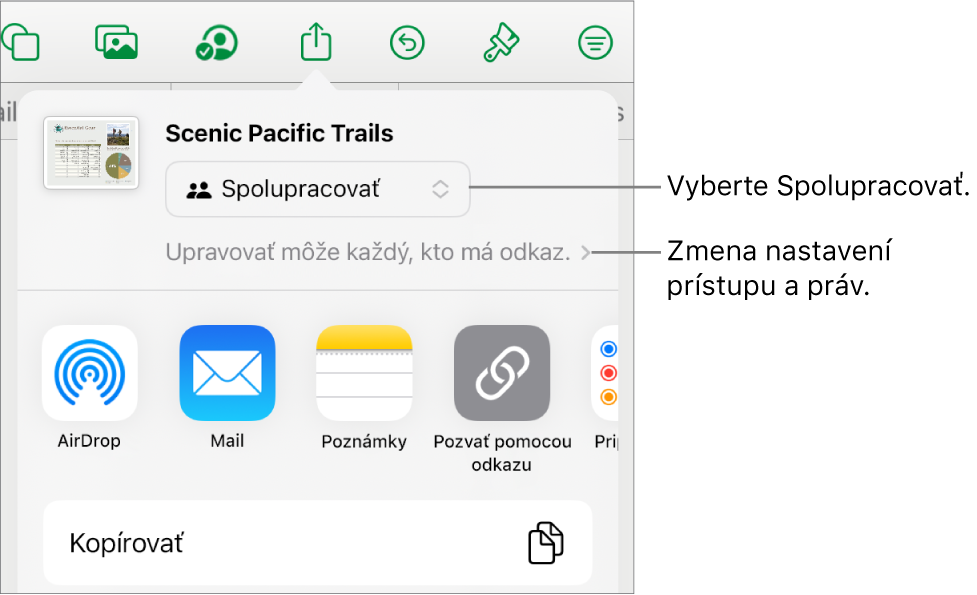 Menu Zdieľať s vybranou možnosťou Spolupracovať navrchu a pod ňou sa nachádzajú nastavenia prístupu a povolení.