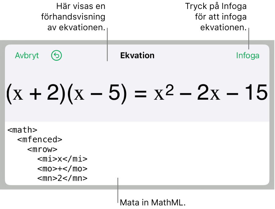 Dialogrutan Ekvation visar en ekvation som skrivits med MathML-kommandon och en förhandsvisning av formeln ovanför den.