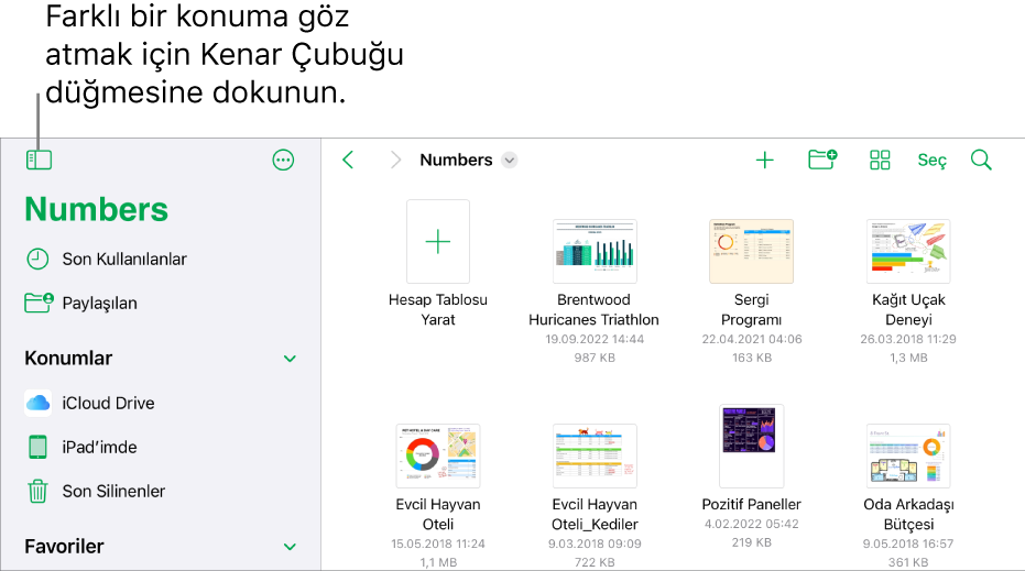 Sol üst köşede konum bağlantısı ve onun altında Arama alanıyla hesap tablosu yöneticisinin göz at görüntüsü. Sağ üst köşede Hesap Tablosu Ekle düğmesi, Yeni Klasör düğmesi, liste veya simge görüntüsünü kullanma ve ada, tarihe, büyüklüğe, türe ve etikete göre filtrelemek için bir açılır menü ve Seç düğmesi bulunuyor. Bunların altında var olan hesap tablolarının küçük resimleri yer alıyor.