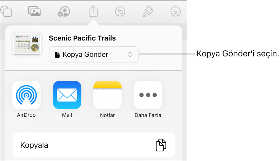 Paylaş menüsü, en üstte Kopya Gönder seçili.