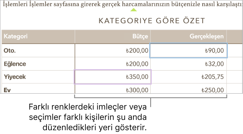 Farklı renklerdeki imleçler veya seçimler, farklı kişilerin nereyi düzenlediğini gösterir.