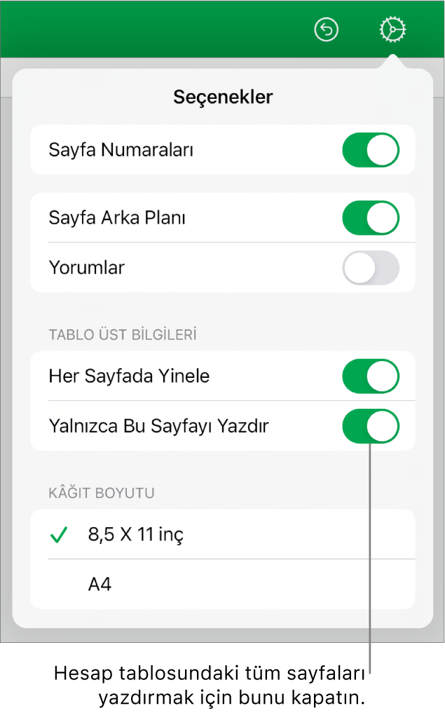 Sayfa numaralarını gösterme, her sayfaya üst bilgi ekleme, kâğıt boyutunu değiştirme ve tüm sayfanın veya sadece güncel sayfanın yazdırılmasını seçme denetimleri içeren yazdırma önizlemesi bölümü.