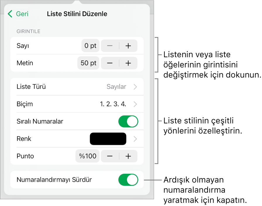Girinti aralığı, liste türü ve biçimi, katmanlı sayılar, liste rengi ve büyüklüğü ve devamlı numaralandırma denetimleri ile Liste Stilini Düzenle menüsü.