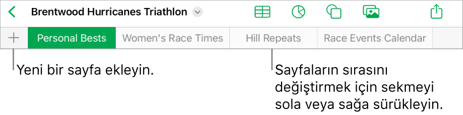 Yeni sayfa ekleme, sayfalarda dolaşma, sayfaları sıralama ve yeniden düzenleme için sekme çubuğu.