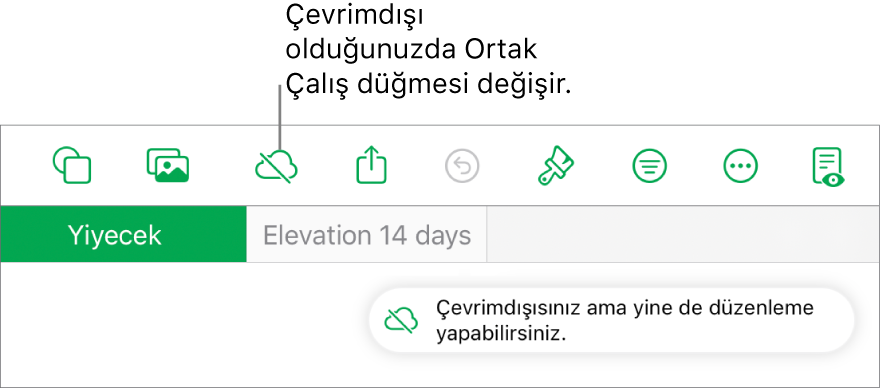 Ekranın en üstündeki düğmeler; Ortak Çalışma düğmesi, üzerinde çapraz bir çizgi olan bir buluta değişmiş. Ekrandaki bir uyarı “Çevrimdışısınız ama yine de düzenleyebilirsiniz” der.