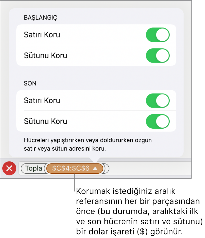 Hücre silindiğinde veya taşındığında hücrenin satır ve sütun referanslarının belirtilmesini sağlayan denetimler. Korumak istediğiniz aralık referansının her bir bölümünden önce bir dolar işareti görünür.