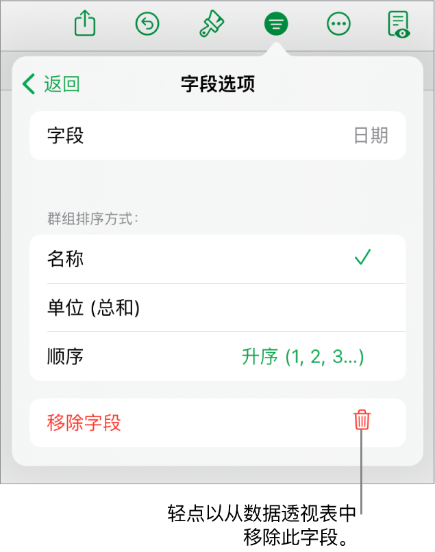 “字段选项”菜单，显示成组和排序数据的控制以及移除字段的选项。