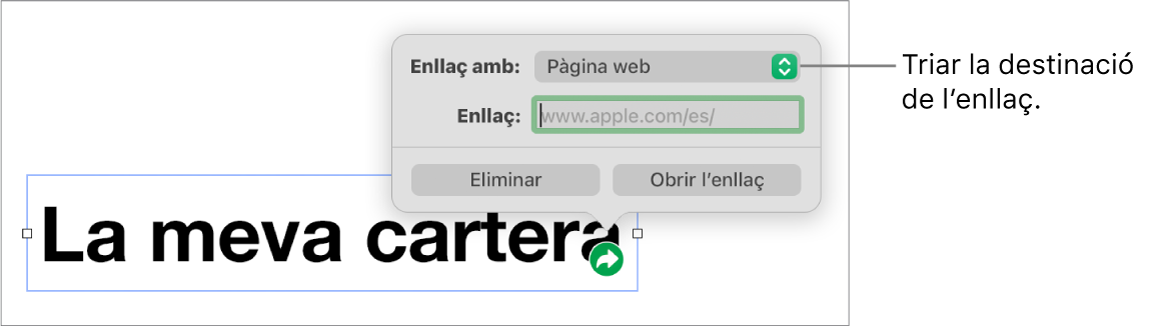 Controls de l’editor d’enllaços amb l’opció “Pàgina web” seleccionada i els botons “Eliminar” i “Obrir l’enllaç” situats a la part inferior.