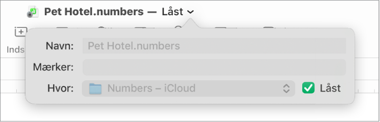Antagelse Undvigende Presenter Lås et Numbers-regneark på Mac - Apple-support (DK)
