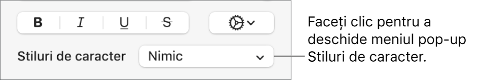 Meniul pop-up Stiluri de caracter sub comenzile pentru schimbarea stilului și a culorii textului.