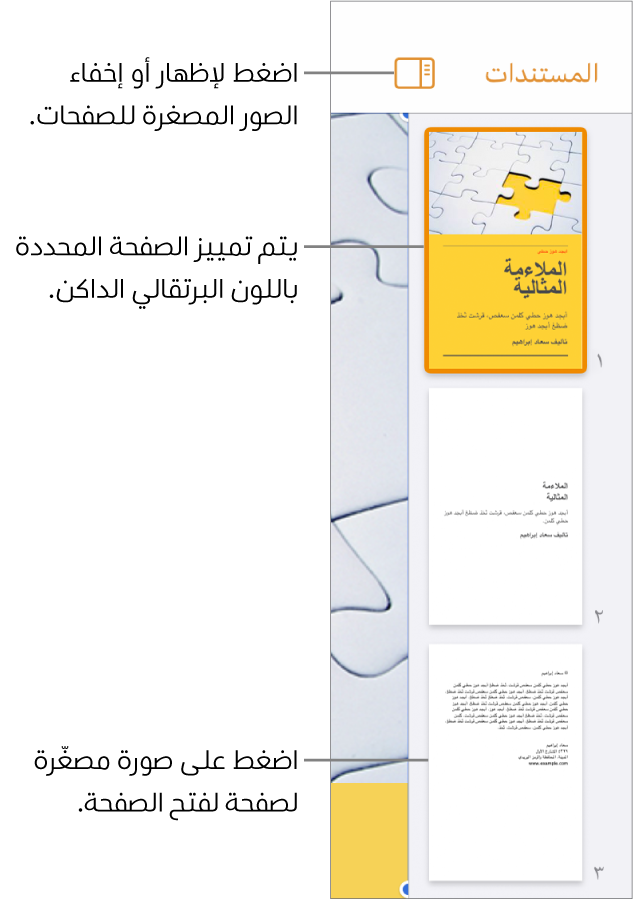 عرض صور مصغرة للصفحات على الجانب الأيمن من الشاشة مع قسم من صفحتين وخط فاصل ثم صفحة واحدة من القسم التالي. الزر "عرض" فوق الصور المصغرة.