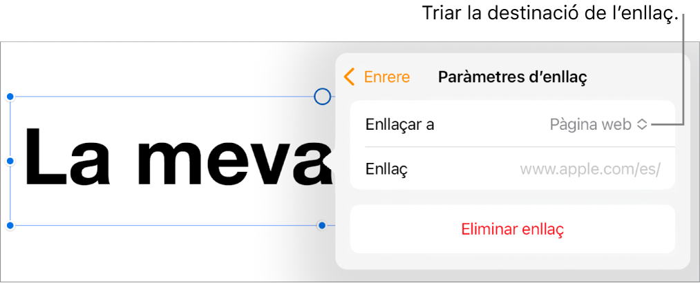 Controls “Paràmetres d’enllaç” amb l’opció “Pàgina web” seleccionada i el botó “Eliminar enllaç” situat a la part inferior.