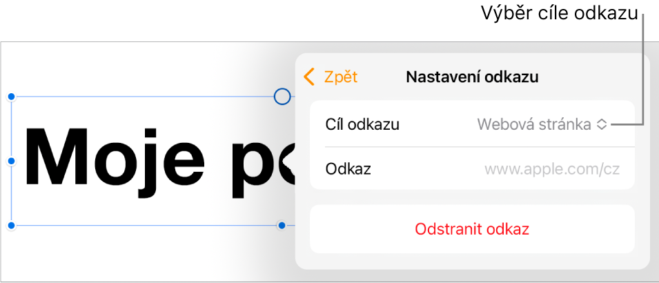 Ovládací prvky Nastavení odkazu s vybranou volbou Webová stránka a tlačítkem Odstranit odkaz v dolní části.
