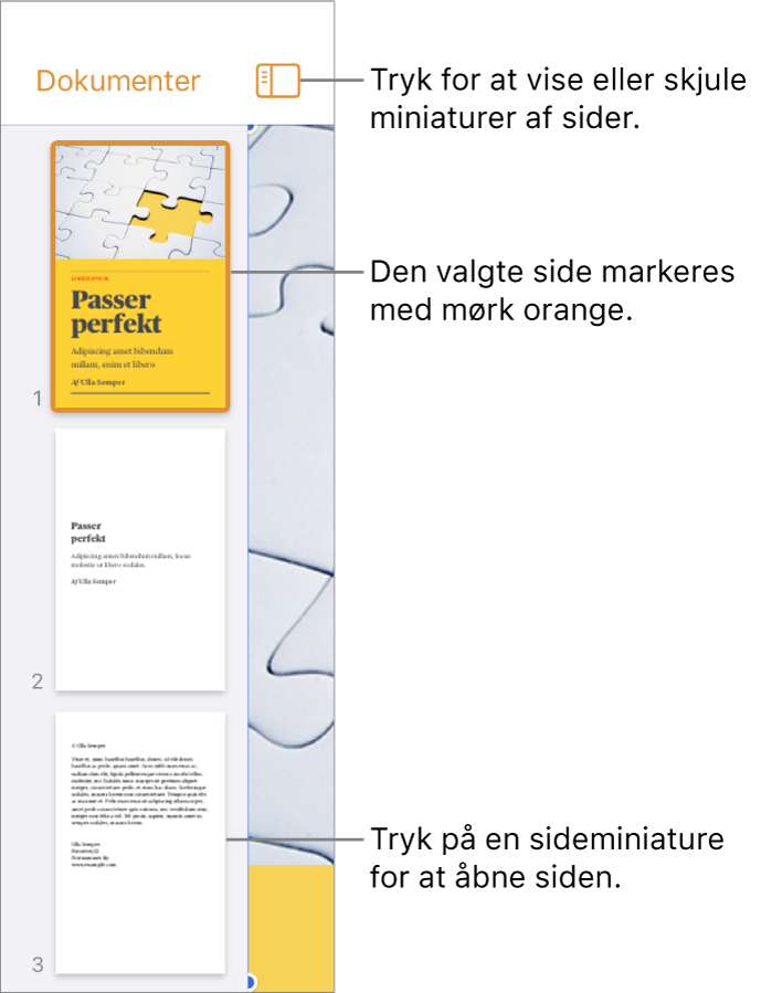 Oversigten Miniaturer af sider i venstre side af skærmen med en sektion på to sider, en skillelinje og derefter en side i den næste sektion. Over miniaturerne ses knappen Oversigt.