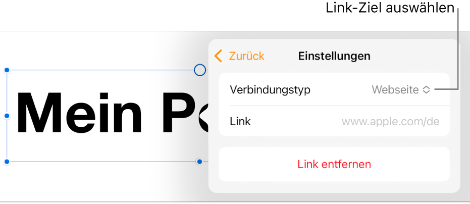 Die Steuerelemente der Linkeinstellungen mit ausgewählter Webseite und der Taste „Link entfernen“ unten.