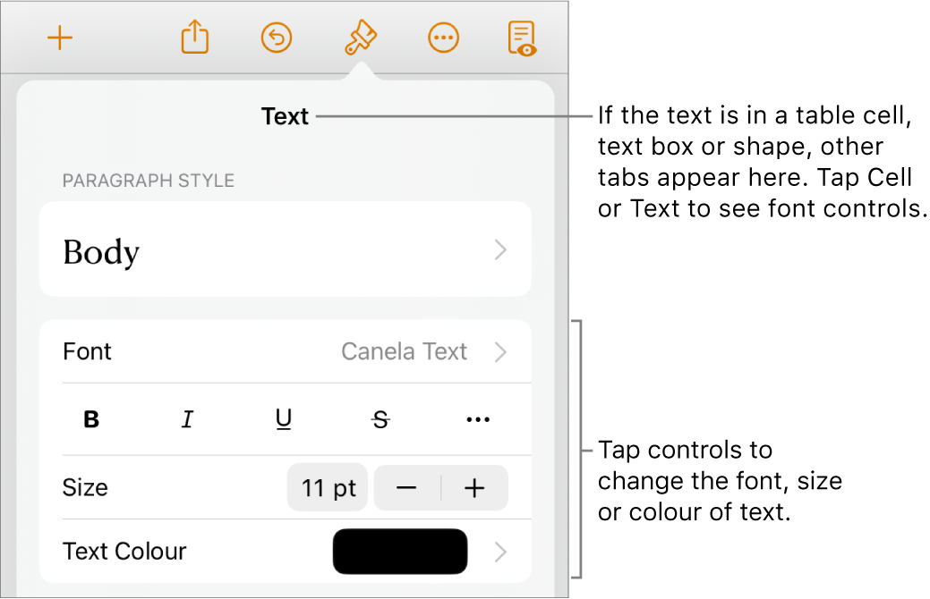 Text controls in the Format menu for setting paragraph and character styles, font, size and colour.