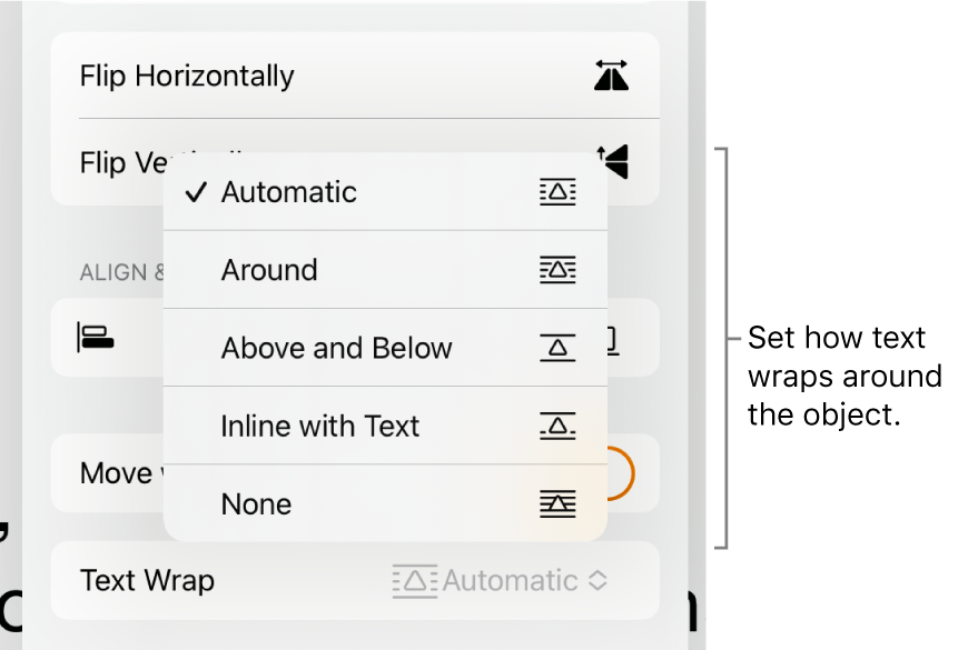 The Format controls with the Arrange tab selected. Below it are Text Wrap controls with Move to Back/Front, Move with Text and Text Wrap.