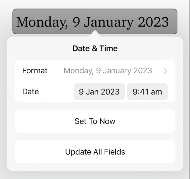 The Date & Time controls showing a pop-up menu for date Format, and Set to Now and Update All Fields buttons.