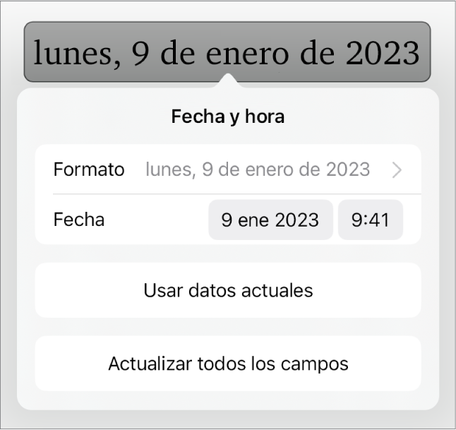 Los controles de Fecha y hora con un menú desplegable para el formato de fecha y los botones Usar datos celulares y Actualizar todos los campos.