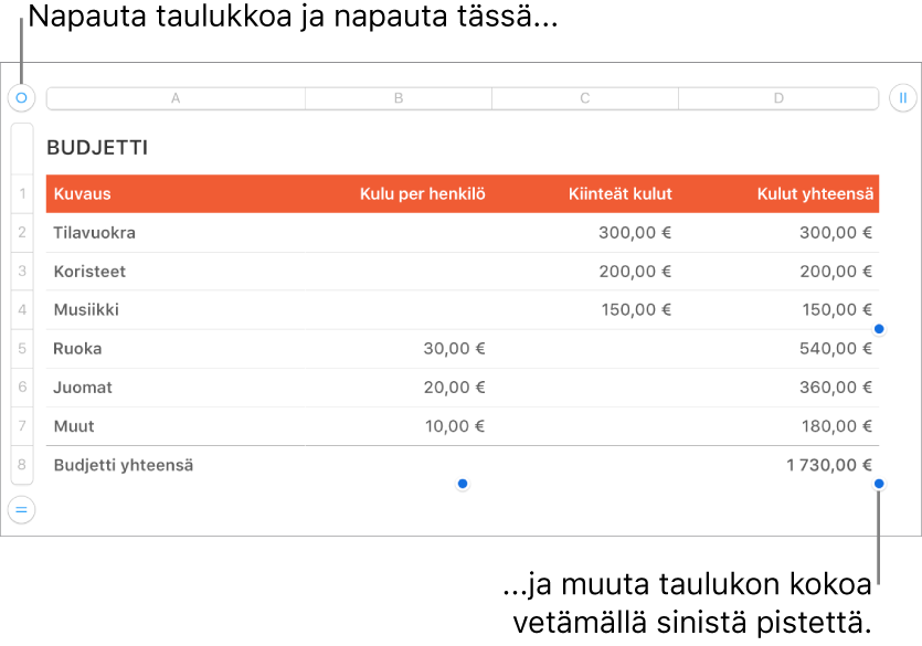 Valittuna taulukko, jossa on siniset pisteet koon muuttamiseen.