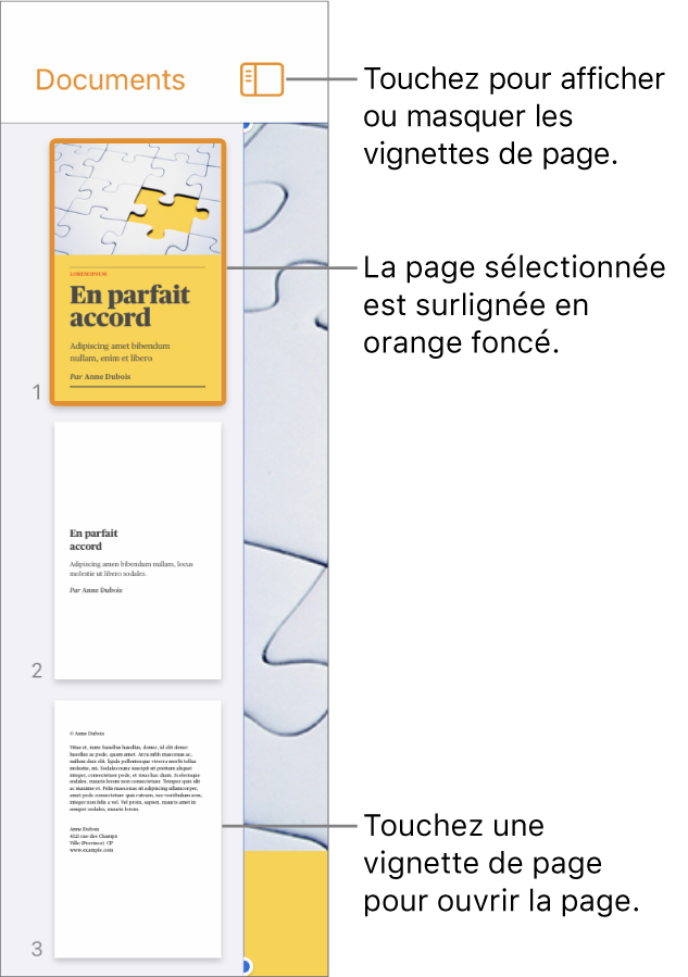 Présentation en vignettes de page dans la partie gauche de l’écran avec une section à deux pages, une ligne de séparation et une page de la section suivante. Le bouton Présentation est au-dessus des vignettes.