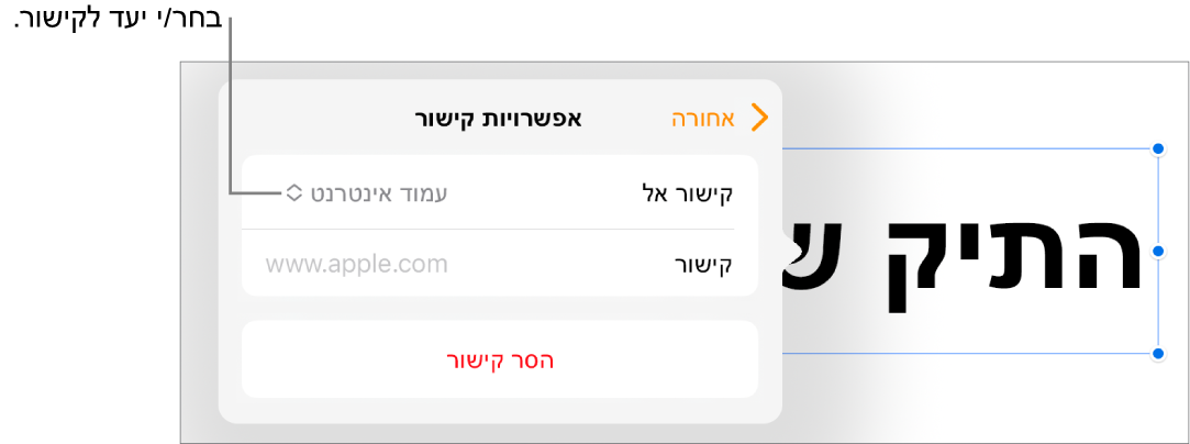 כלי הבקרה של ״אפשרויות קישור״ כאשר האפשרות ״עמוד אינטרנט״ נבחרת ובחלק התחתון מוצג הכפתור ״הסר קישור״.
